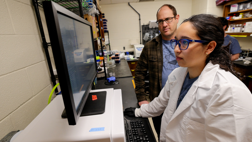 Giant virus discovery expands knowledge of viral latency