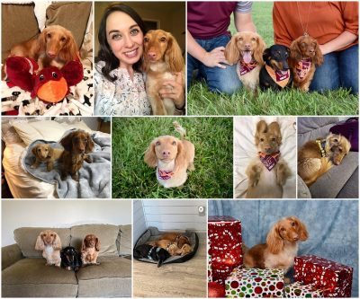 Collage of Beamer Dotson.