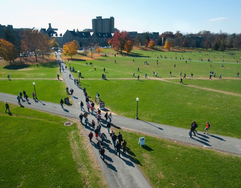 Drillfield