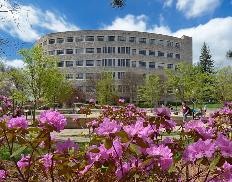 Carol M. Newman Library