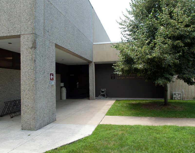 Harry T. Peters Jr. Large Animal Clinic