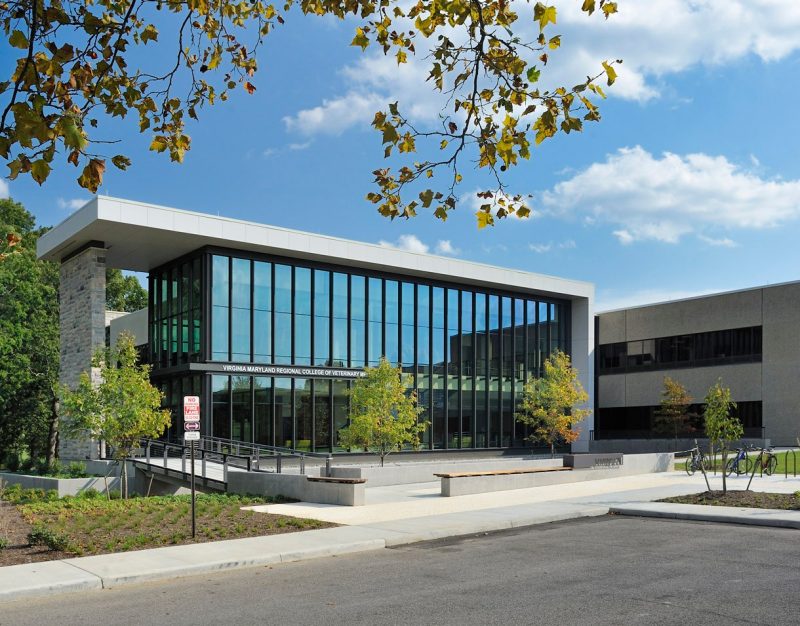 Virginia-Maryland Regional College of Veterinary Medicine