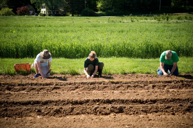 farming