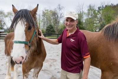 Rob Bell with one of his Clydesdales