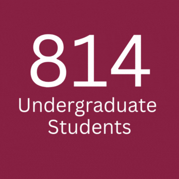 814 Undergraduate Students