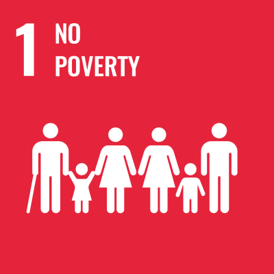 1 No Poverty dashboard