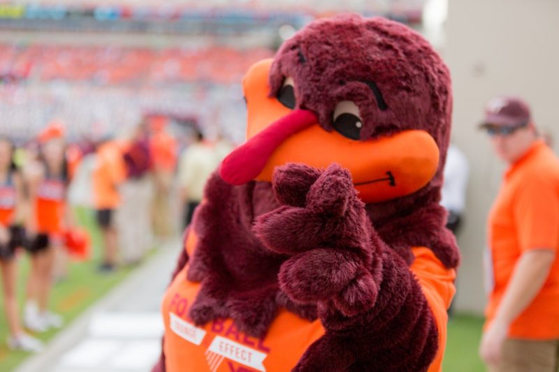 Homecoming Hokie Bird