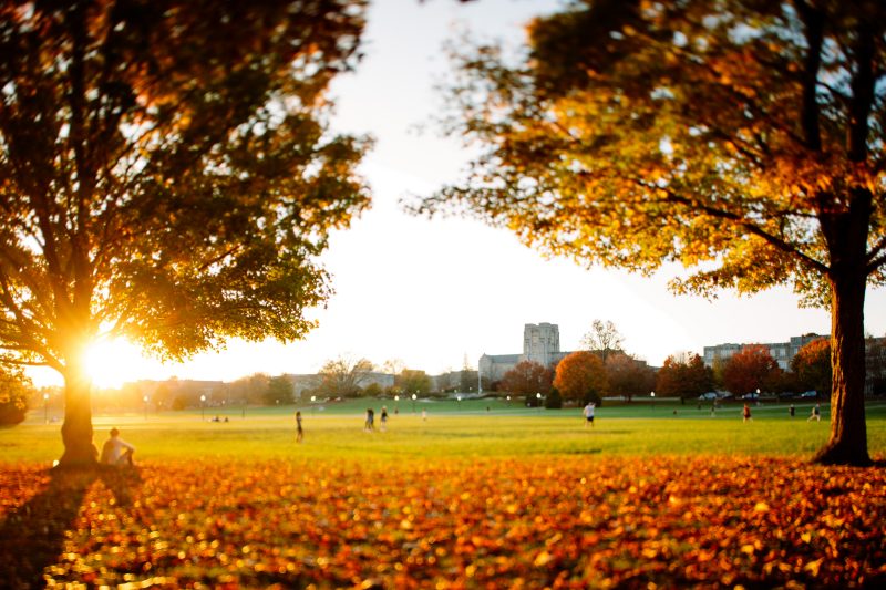 A student sits on a leaf-littered Drillfield, adorned by the colors of autumn